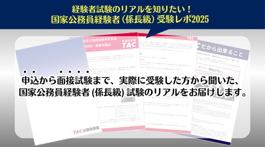 国家公務員試験経験者係長級レポート